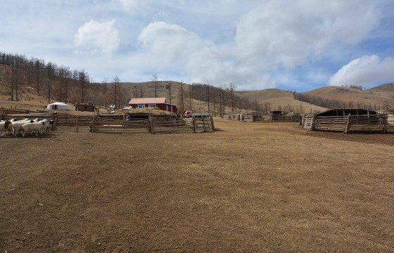 Хүүхэдтэйгээ муудалцаад гэрээсээ явсан эмэгтэйг айлын гэрээс эсэн мэнд олжээ