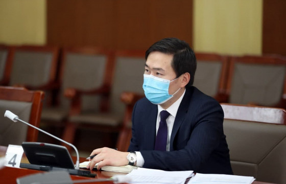 Үндэсний статистикийн хорооны даргаар Б.Батдавааг томилох саналыг дэмжив