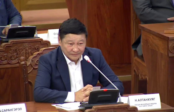 Н.АЛТАНХУЯГ: Юун нялх биетэй эх, жагсаал, Ерөнхийлөгч. Энэ бол мөсөн уулын оройн ил гарч байгаа хэсэг, цаана нь их юм бий