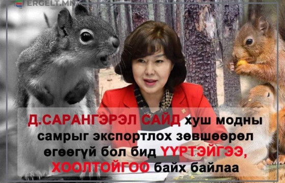 ЭРГЭЛТИЙН ОНЦЛОХ НИЙТЛЭЛ: Самрын “наймаачин” Д.Сарангэрэлийн мунхаг шийдвэр хушин ойг сүйдэлж дууслаа