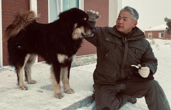 Ж.Энхбаяр Шадар сайдын албан тушаалаас “зугтсан уу”