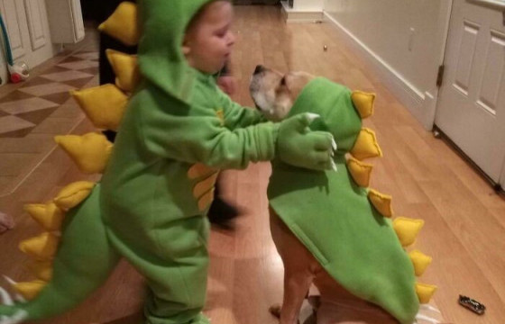 ФОТО: Хүүхдэд тань нохой хэрэгтэйг батлах зургууд 