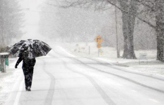 ЦАГ АГААР: Нутгийн хойд хэсгээр цас орж, шуурна