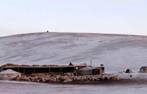 Сэтгэцийн эмгэгтэй эрэгтэйг хоёр хоногийн дараа эсэн мэнд олжээ