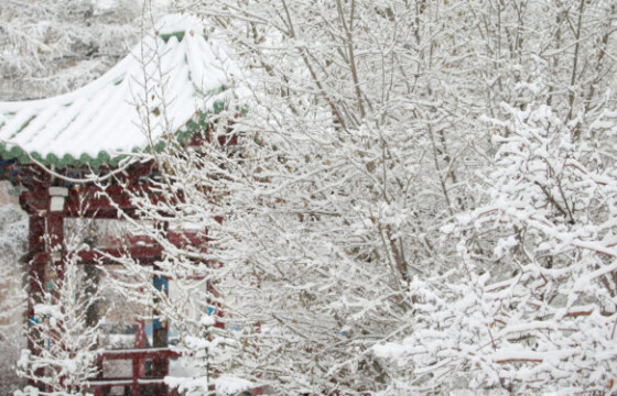 ЦАГ АГААР: Ойрын өдрүүдэд ихэнх нутгаар хүйтэн байна