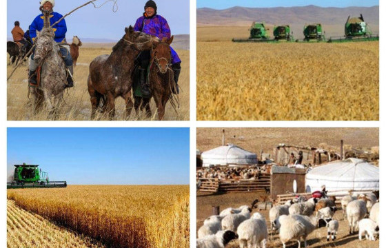 24.6 сая толгой малыг эдийн засгийн эргэлтэд орууллаа