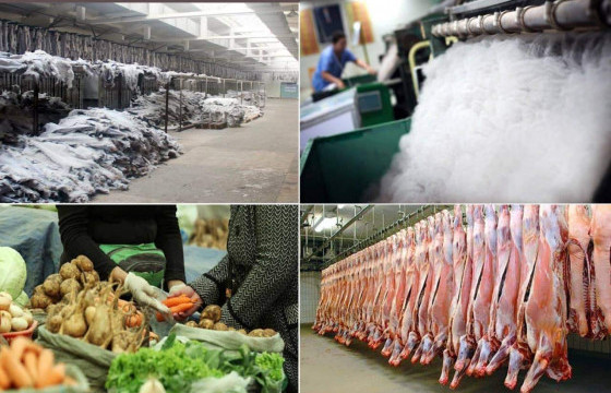 Ложистикийн төв зах зээлийн нэгдсэн дэд бүтцийг сайжруулна