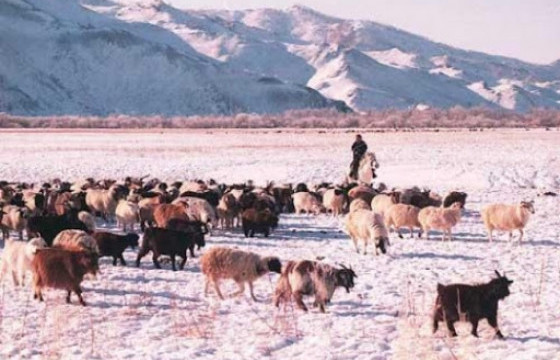 Алга болсон 16 настай хүү Улаанбаатар хотод дуудлага хийгээгүй бөгөөд цогцос нь Баянгол сумаас олджээ