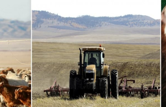 Хөдөө аж ахуйг дэмжих 500 тэрбумын зээлийг арилжааны банкаар олгоно