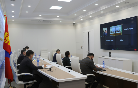 Гадаад харилцааны сайд Б.Батцэцэг европын орнуудад суугаа Элчин сайд нартай цахим уулзалт хийв