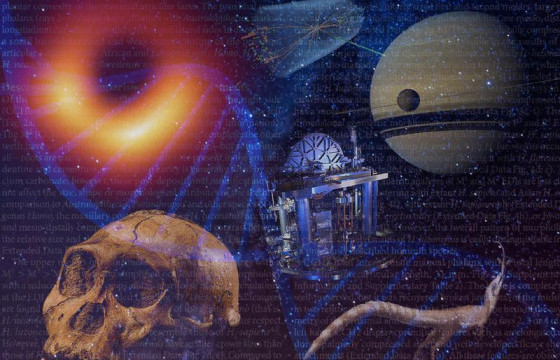 СОНИРХОЛТОЙ ШИНЖЛЭХ УХААН: Дэлхий дээрээс олдсон хамгийн эртний эд зүйл нь манай нарны аймгаас ч урт настай