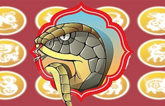 Зурхай: Эл өдөр эмнэлгийн элдэв үйл, хагалгаа хийлгэхэд САЙН