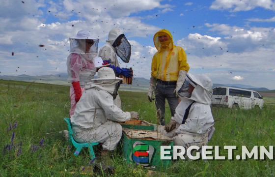 Эх орондоо үйлдвэрлэв: ХУРЫН ШИМ