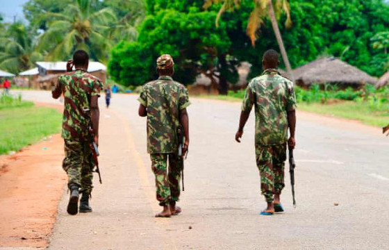 Палма хотод зэвсэгт халдлагын улмаас хэдэн арван хүн нас баржээ