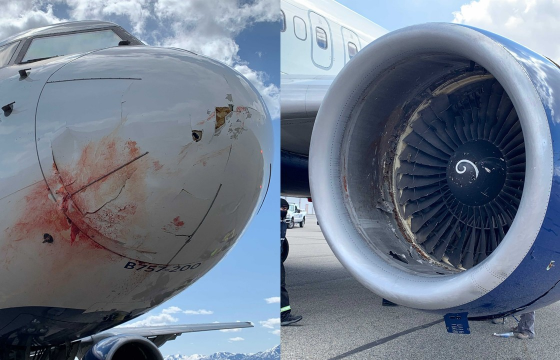 “Юта Жазз”-ын онгоц нислэгийнхээ үеэр шувууны сүрэгтэй мөргөлдөж, ослын буулт хийжээ