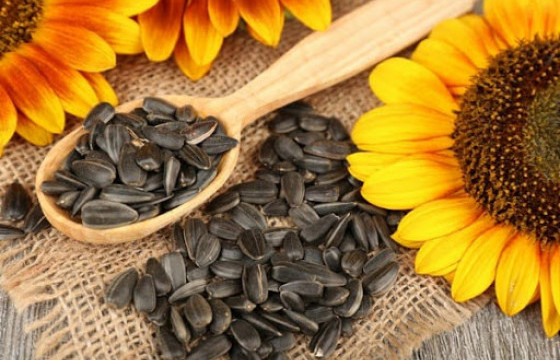 Хаврын улиралд дархлаагаа дэмжих энгийн арга