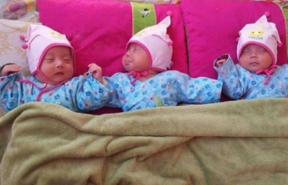 Хөвсгөл аймагт мэндэлсэн гурван ихэр хүүг эх барьсан эмч П.ОТГОНБАЯР: Эх, хүүхдийн бие сайн байна