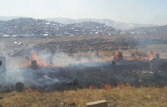Шар өвс шатааж гал алдвал зөрчлийн хуулиар торгоно