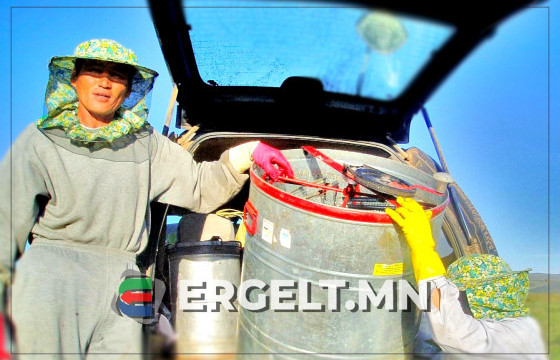 Б.БАТ-ЭРДЭНЭ:Зөгий хүний өвчтэй газар хатгаж, өвчнийг нь авчихаад гэдэс нь цуваад үхчихдэг өрөвдөлтэй амьтан