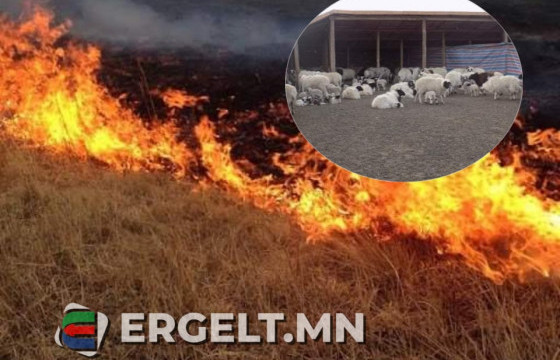 Иргэн Б: Хашаанд байсан нялх төл бүгд шатсан, гэрт байсан цөөн хэд нь л үлдлээ