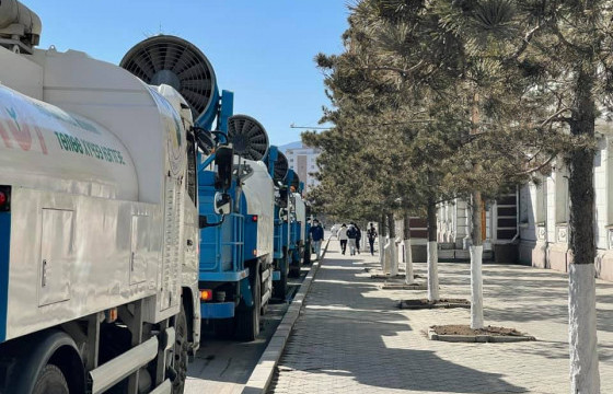 Авто замын хажуугийн Нарс модыг угааж байна