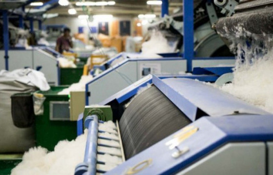 ХХААХҮЯ: Энэ онд 9700 орчим тонн ноолуур бэлтгэнэ