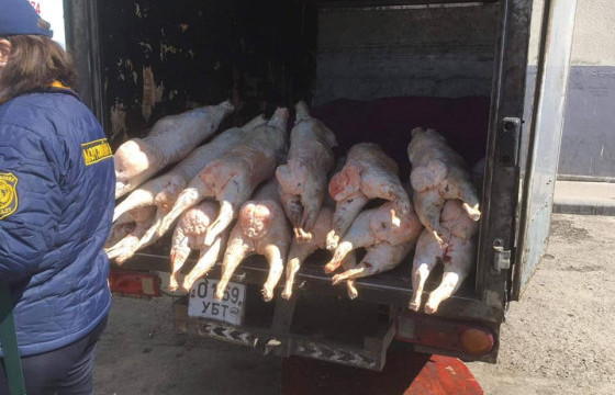 НМХГ:Хүнсний бүтээгдэхүүн тээвэрлэдэг тээврийн хэрэгсэл бохир байна