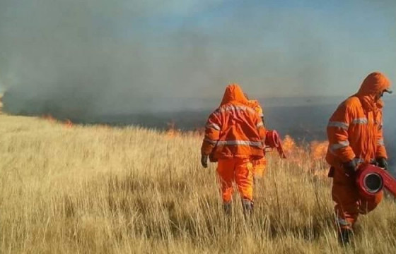 Дарьганга суманд гарсан хээрийн түймрийг бүрэн унтраажээ