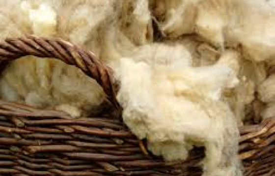 94064 малчин өрх 31.2 тэрбум төгрөгийн ноосны урамшуулалд бүртгэгдсэн байна