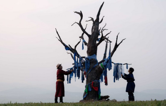 ТЭД БИДНИЙ ТУХАЙ: “Алтан судал: Нүүдэлчин амьдралын дүр төрхийг барихуй