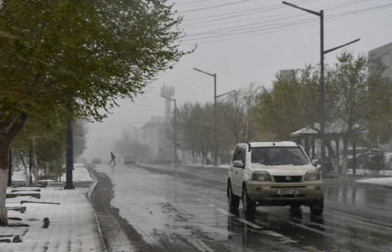 Ихэнхи нутгаар нойтон цас орж, цасан шуурга шуурна