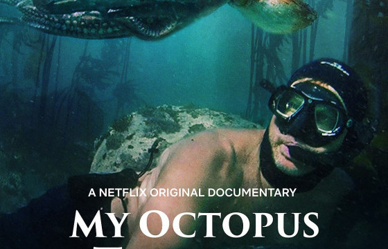 ОСКАР: Шилдэг баримтат кино төрөлд “My Octopus Teacher” бүтээл шалгарлаа