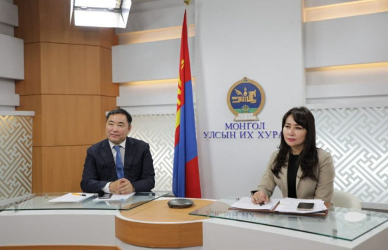 УИХ дахь Монгол-Италийн парламентын бүлгийн гишүүд БНИУ-ын парламентын гишүүдтэй цахим уулзалт хийв