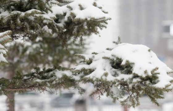 ЦАГ АГААР: Улаанбаатар хотод ялимгүй цас орно