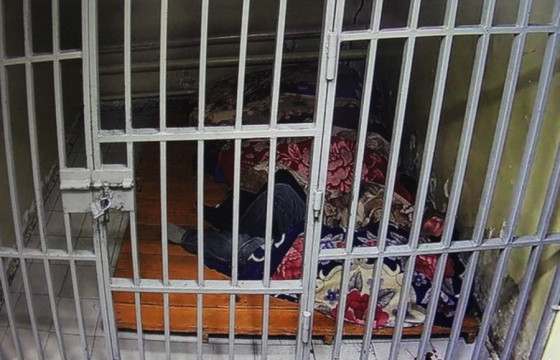 Өнгөрсөн 24 цагийн хугацаанд 122 хүн эрүүлжүүлэгджээ