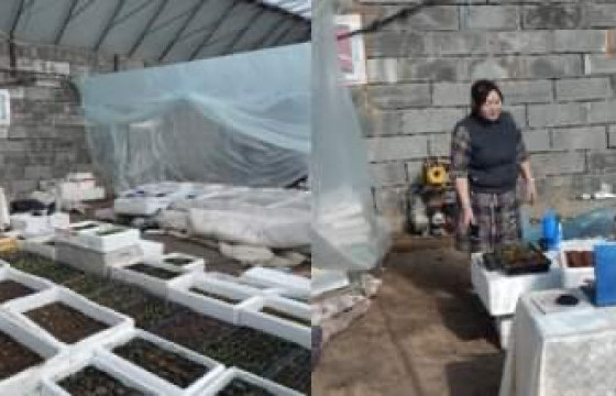 Агротехнологийн сургалтад орон нутгийн 900 орчим ногоочин хамрагдлаа