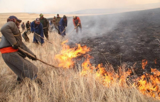 Булган аймгийн Сэлэнгэ суманд гарсан ой хээрийн түймрийг унтраахаар ажиллаж байна