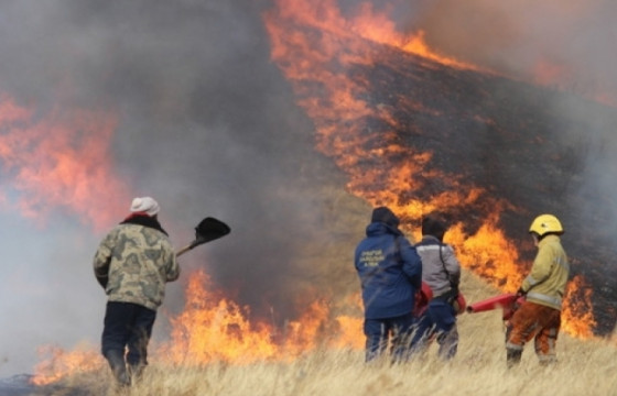Он гарсаар 17 удаа хээрийн түймэр гарсан байна