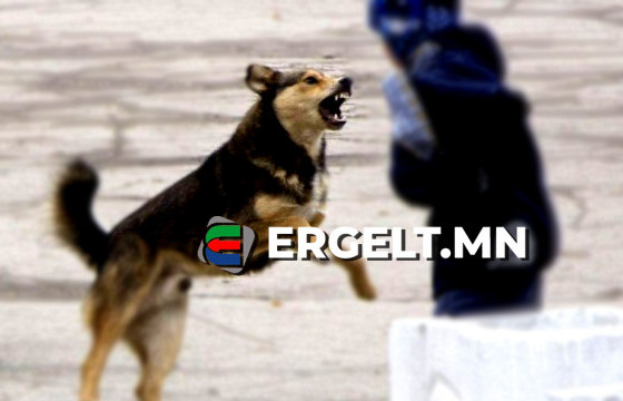 Хавтаст хэрэг: Нохойд хазуулж, амиа алдсан дөрвөн настай хүү