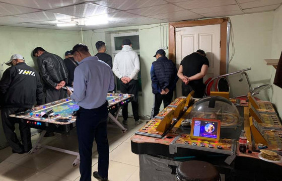 Мөрийтэй тоглоом зохион байгуулсан этгээдүүдийг баривчилжээ