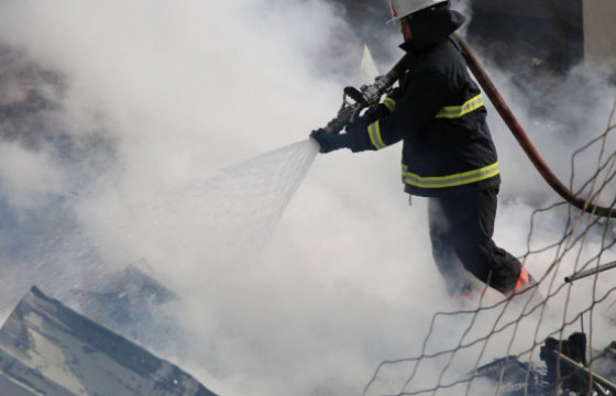 Түймрийн улмаас 70 настай эмэгтэй амиа алдаж, нэг хүн түлэгджээ