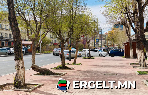 ФОТО СУРВАЛЖИЛГА: Байгаль дэлхий өнгөө засаж, урин цаг асуй