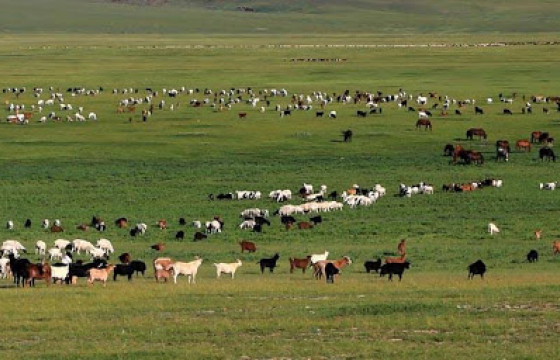 Хоёр мянга гаруй малчинд хөнгөлөлттэй зээл олгоод байна