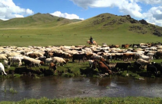 Гэрээт малчнаар ажиллах хүсэлтэй иргэдийг бүртгэж байна