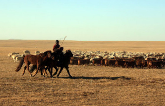 2000 гаруй малчинд хөнгөлөлттэй зээл олгожээ