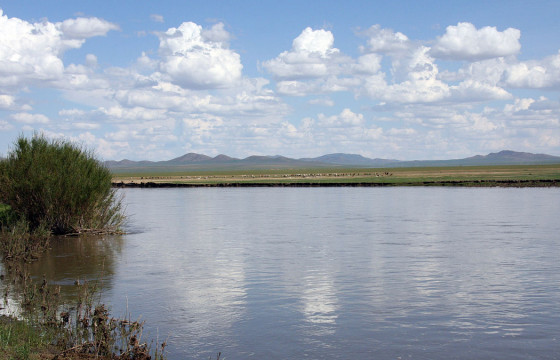 62 настай эрэгтэй согтууруулах ундааны зүйл хэрэглэж байгаад Байдлаг голд унаж, амиа алджээ