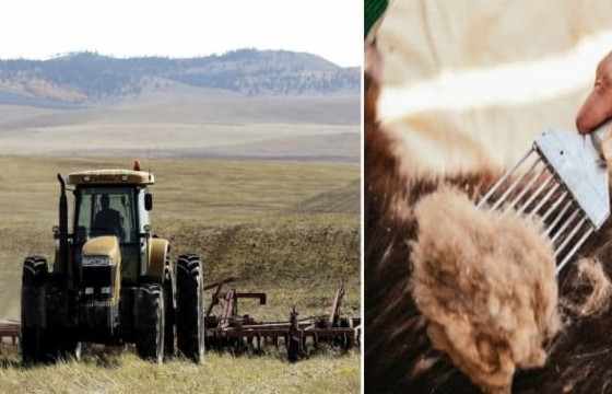 Хөдөө аж ахуйг дэмжих зээлийг 4628 иргэнд олгожээ