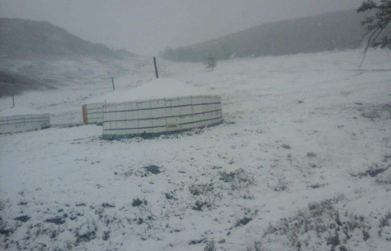 Уулархаг нутгаар нойтон цас орж, шуурна