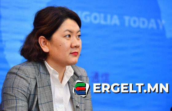 Б.СОЛОНГОО: Хөндлөнгийн шинжээчдийн дүгнэлт ирэх зургадугаар сарын сүүлчээр гарна