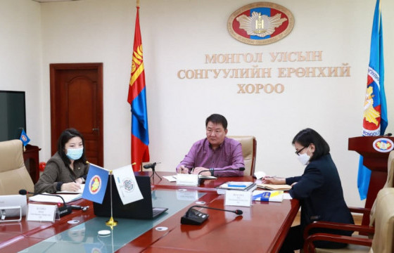 Олон улсын шинжээчид Ерөнхийлөгчийн сонгуульд хяналт тавина